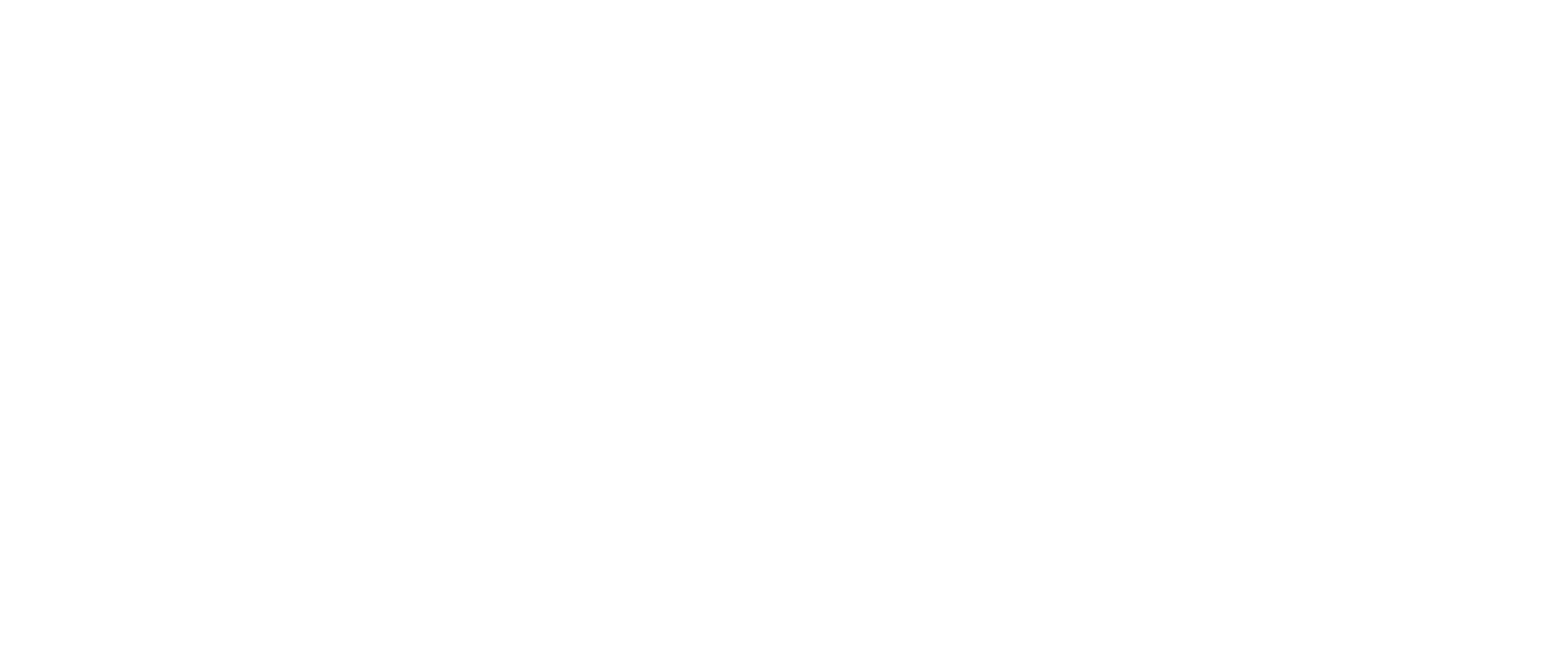 ConnellIns_Logo-white
